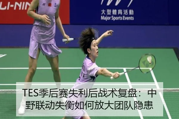 TES季后赛失利后战术复盘：中野联动失衡如何放大团队隐患（ayx.comapp）