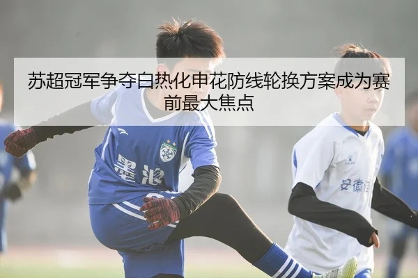 苏超冠军争夺白热化申花防线轮换方案成为赛前最大焦点（ayx.comapp）